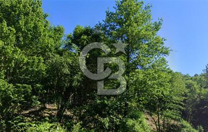 DEMİRKÖY DE 15 DÖNÜM EKO TURİZM RUHSATI ALINABİLİR ARSA