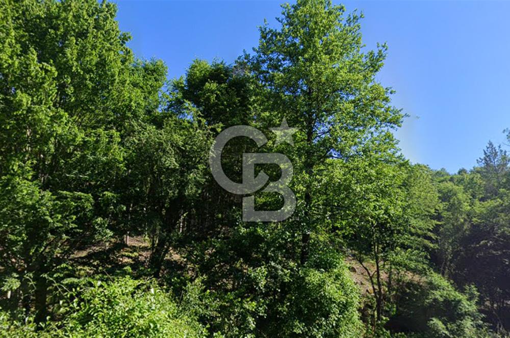 DEMİRKÖY DE 15 DÖNÜM EKO TURİZM RUHSATI ALINABİLİR ARSA