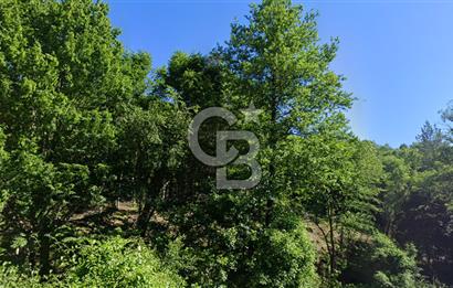 DEMİRKÖY DE 15 DÖNÜM EKO TURİZM RUHSATI ALINABİLİR ARSA