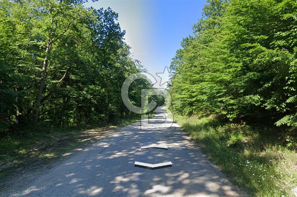 DEMİRKÖY DE 15 DÖNÜM EKO TURİZM RUHSATI ALINABİLİR ARSA