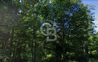 DEMİRKÖY DE 15 DÖNÜM EKO TURİZM RUHSATI ALINABİLİR ARSA