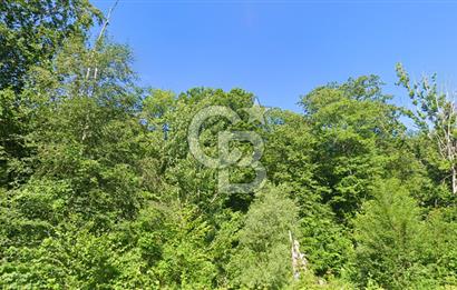 DEMİRKÖY DE 15 DÖNÜM EKO TURİZM RUHSATI ALINABİLİR ARSA