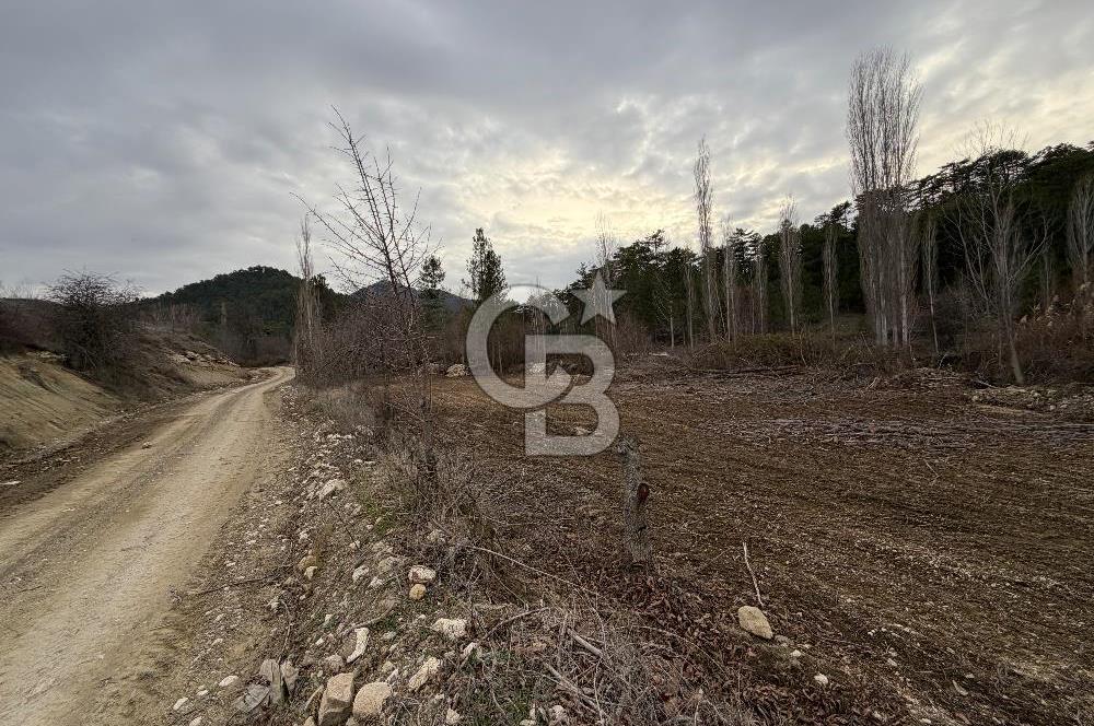 Honaz Aşağı Karaçay’da Satılık Tarla