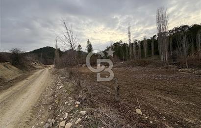 Honaz Aşağı Karaçay’da Satılık Tarla