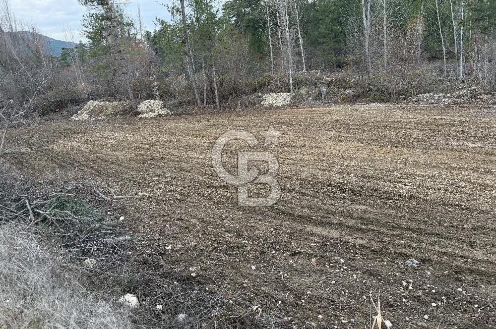 Honaz Aşağı Karaçay’da Satılık Tarla