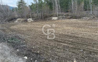 Honaz Aşağı Karaçay’da Satılık Tarla