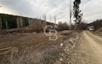 Honaz Aşağı Karaçay’da Satılık Tarla