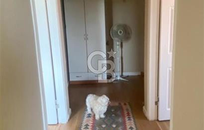 Saros Sazlıderede Satılık Şömineli Eşyalı 3+1 Ahsap Villa