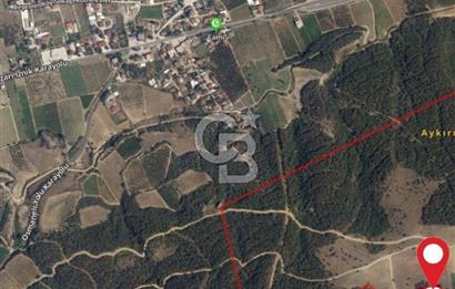 4,5 DÖNÜM YATIRIMLIK TARLA