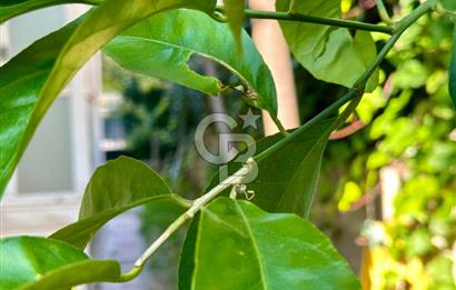 MUSELAND / FORUM BORNOVA VİLLALARI'NDA TİCARİ KİRALIK 6+1 VİLLA!