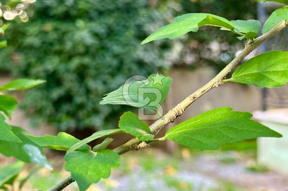 MUSELAND / FORUM BORNOVA VİLLALARI'NDA TİCARİ KİRALIK 6+1 VİLLA!