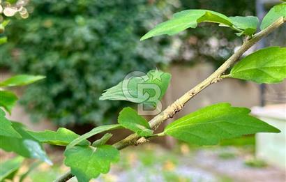 MUSELAND / FORUM BORNOVA VİLLALARI'NDA TİCARİ KİRALIK 6+1 VİLLA!