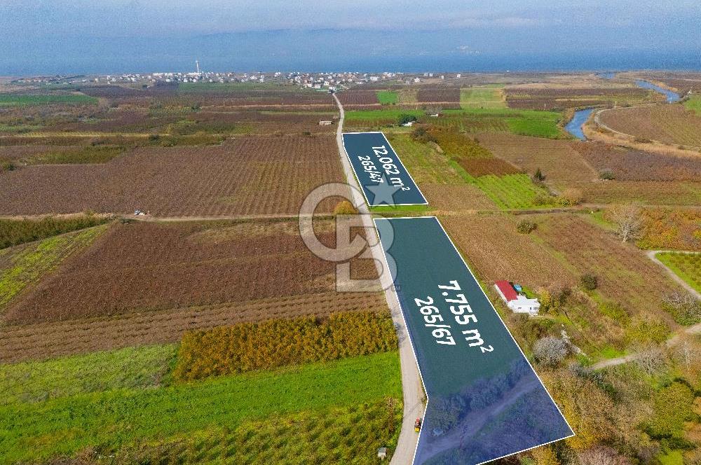 Çanakkale Umurbey Altında Yola Cephe 21.096 m2 satılık Tarla
