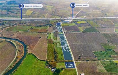 Çanakkale Umurbey Altında Yola Cephe 21.096 m2 satılık Tarla