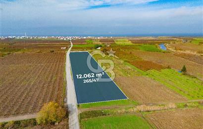 Çanakkale Umurbey Altında Yola Cephe 21.096 m2 satılık Tarla