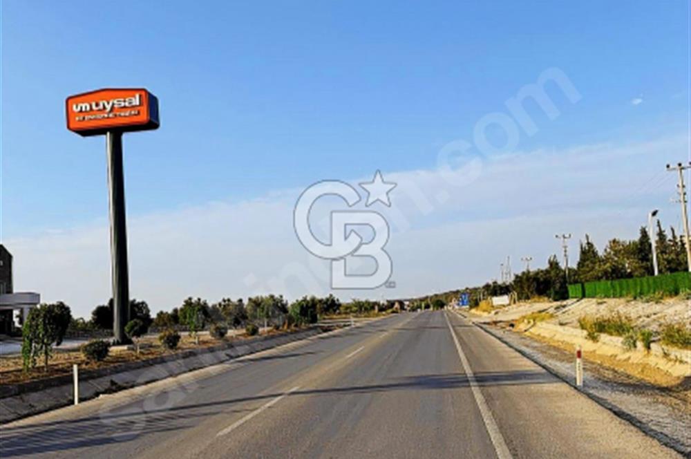 Çanakkale Geyiklinin Dibinde Kupon  zeytinlik