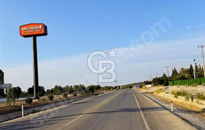 Çanakkale Geyiklinin Dibinde Kupon  zeytinlik