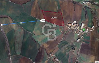 TEKİRDAÜĞ SÜLEYMANPAŞA GÜNDÜZLÜ 497M2 SATILIK ARAZİ