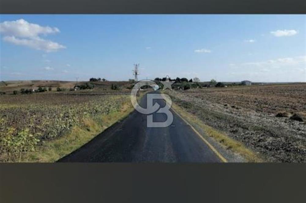 TEKİRDAÜĞ SÜLEYMANPAŞA GÜNDÜZLÜ 497M2 SATILIK ARAZİ