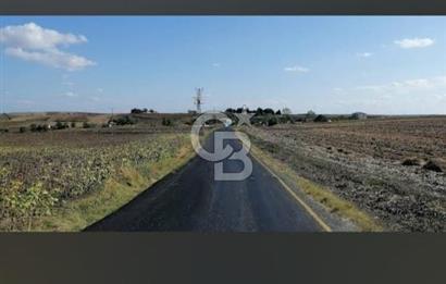 TEKİRDAÜĞ SÜLEYMANPAŞA GÜNDÜZLÜ 497M2 SATILIK ARAZİ