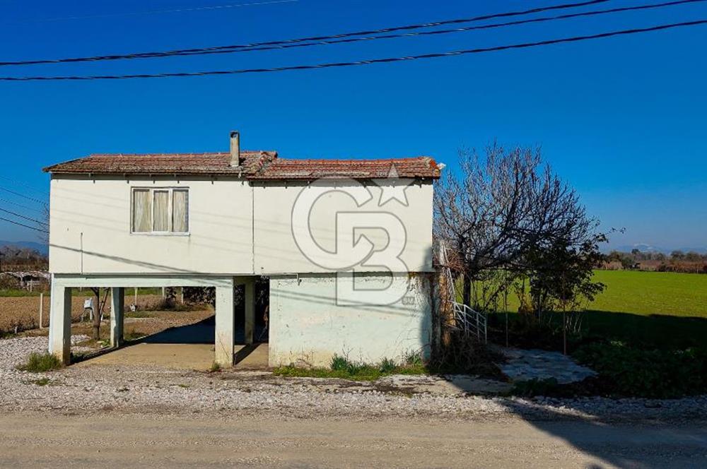 MANİSA ŞEHZADELER VEZİROĞLU SATILIK TEK TAPU BAĞ ARAZİSİ