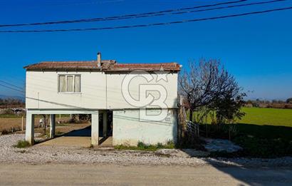 MANİSA ŞEHZADELER VEZİROĞLU SATILIK TEK TAPU BAĞ ARAZİSİ