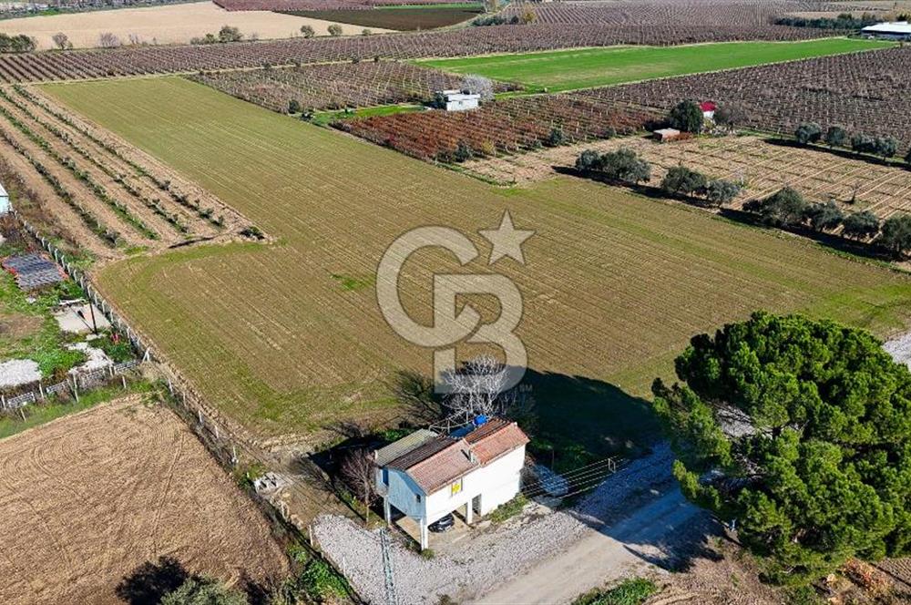 MANİSA ŞEHZADELER VEZİROĞLU SATILIK TEK TAPU BAĞ ARAZİSİ