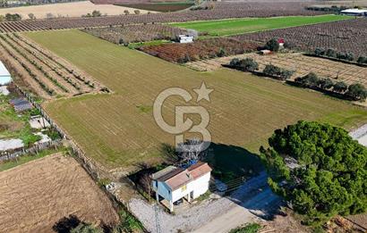 MANİSA ŞEHZADELER VEZİROĞLU SATILIK TEK TAPU BAĞ ARAZİSİ