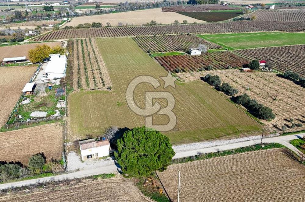 MANİSA ŞEHZADELER VEZİROĞLU SATILIK TEK TAPU BAĞ ARAZİSİ