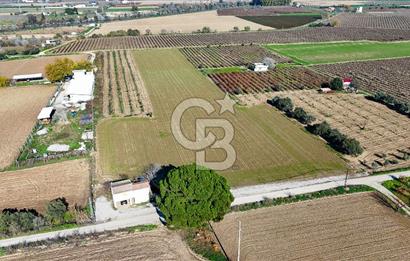 MANİSA ŞEHZADELER VEZİROĞLU SATILIK TEK TAPU BAĞ ARAZİSİ