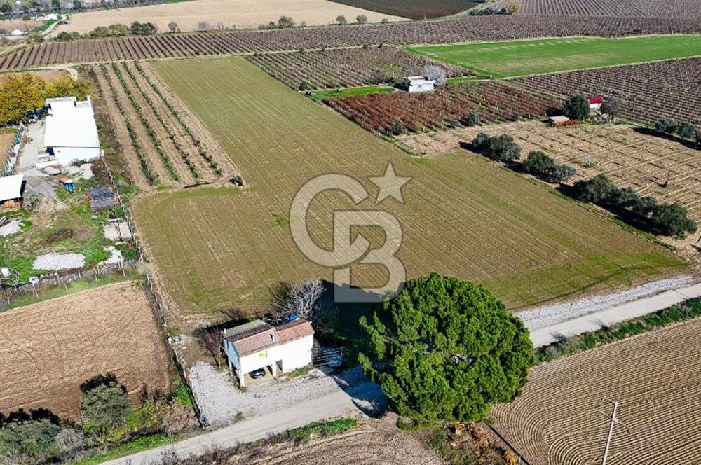 MANİSA ŞEHZADELER VEZİROĞLU SATILIK TEK TAPU BAĞ ARAZİSİ