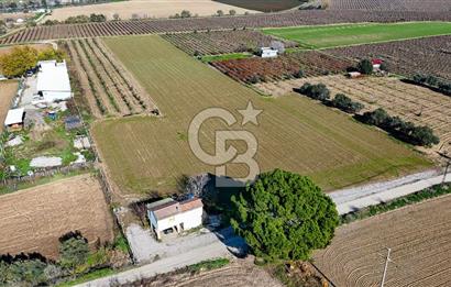 MANİSA ŞEHZADELER VEZİROĞLU SATILIK TEK TAPU BAĞ ARAZİSİ