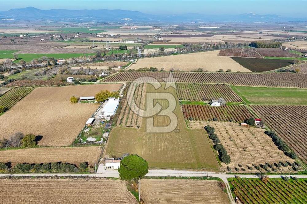 MANİSA ŞEHZADELER VEZİROĞLU SATILIK 8.116 M2 TEK TAPU BAĞ ARAZİSİ