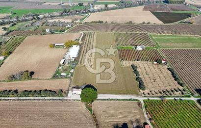 MANİSA ŞEHZADELER VEZİROĞLU SATILIK TEK TAPU BAĞ ARAZİSİ