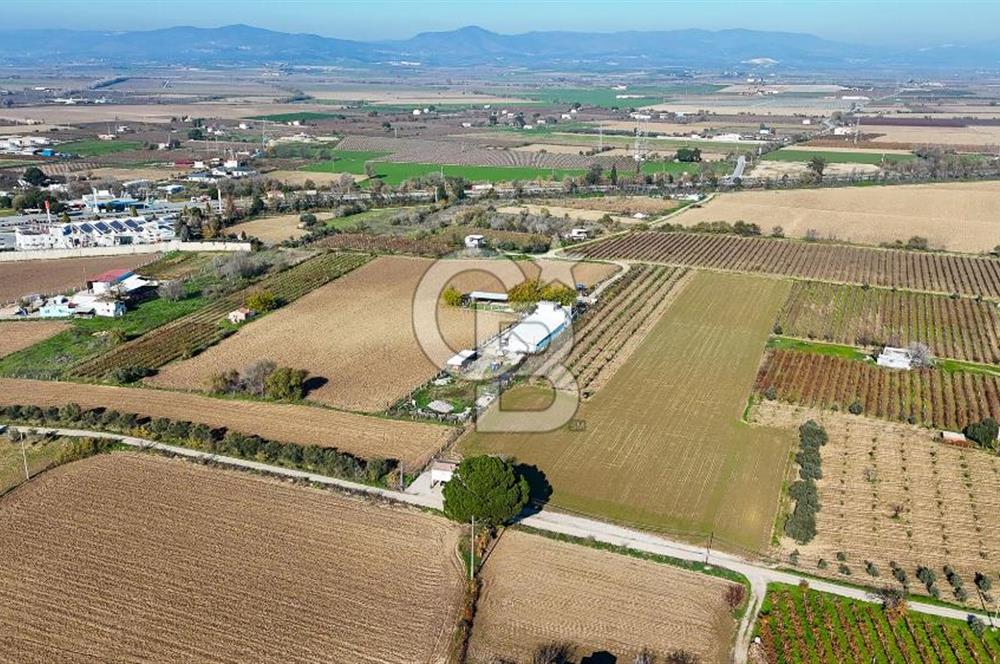 MANİSA ŞEHZADELER VEZİROĞLU SATILIK 8.116 M2 TEK TAPU BAĞ ARAZİSİ