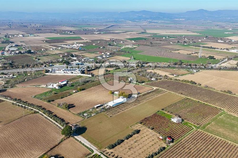 MANİSA ŞEHZADELER VEZİROĞLU SATILIK 8.116 M2 TEK TAPU BAĞ ARAZİSİ
