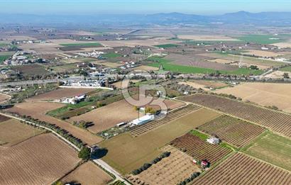 MANİSA ŞEHZADELER VEZİROĞLU SATILIK 8.116 M2 TEK TAPU BAĞ ARAZİSİ