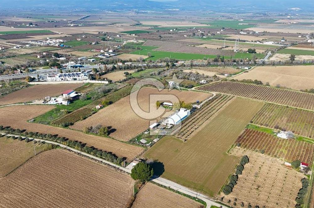 MANİSA ŞEHZADELER VEZİROĞLU SATILIK TEK TAPU BAĞ ARAZİSİ