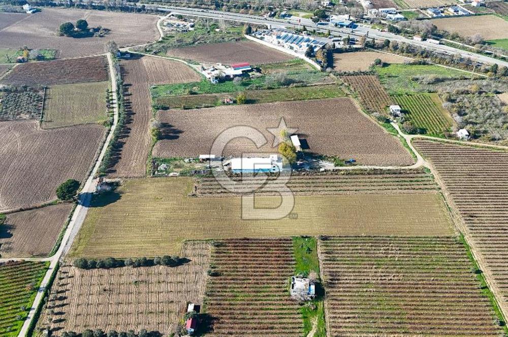 MANİSA ŞEHZADELER VEZİROĞLU SATILIK TEK TAPU BAĞ ARAZİSİ