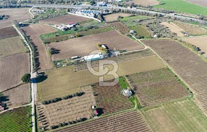 MANİSA ŞEHZADELER VEZİROĞLU SATILIK TEK TAPU BAĞ ARAZİSİ