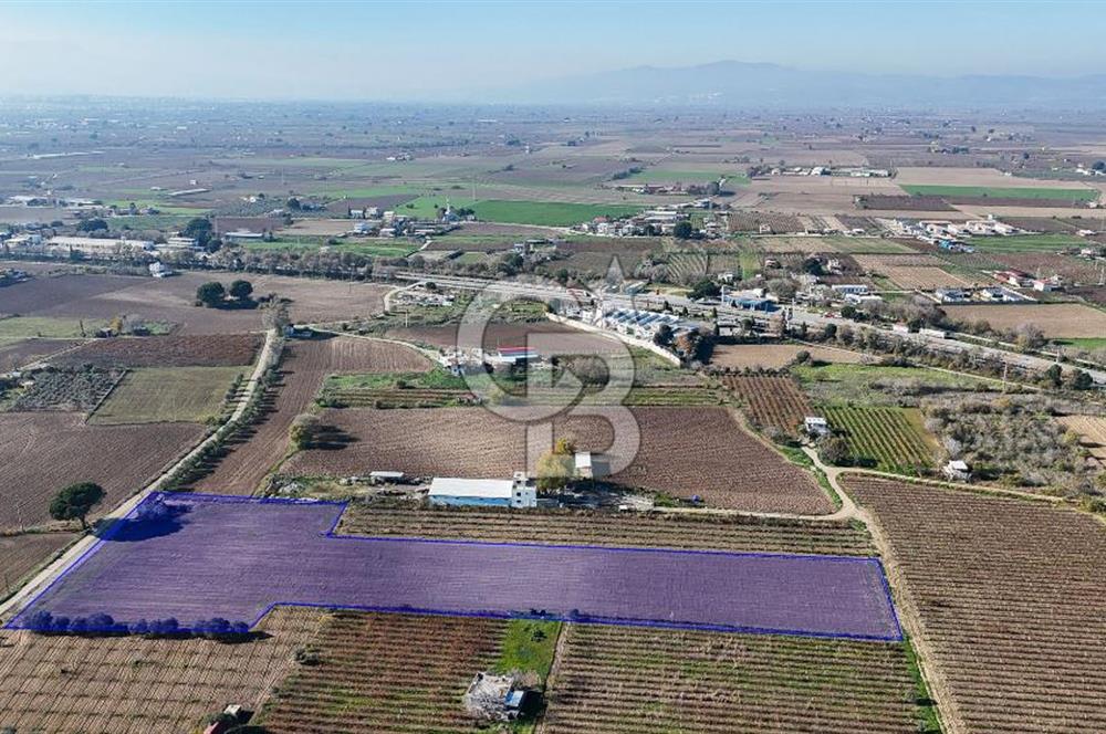 MANİSA ŞEHZADELER VEZİROĞLU SATILIK 8.116 M2 TEK TAPU BAĞ ARAZİSİ