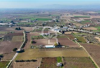 MANİSA ŞEHZADELER VEZİROĞLU SATILIK TEK TAPU BAĞ ARAZİSİ - 2 - 323256