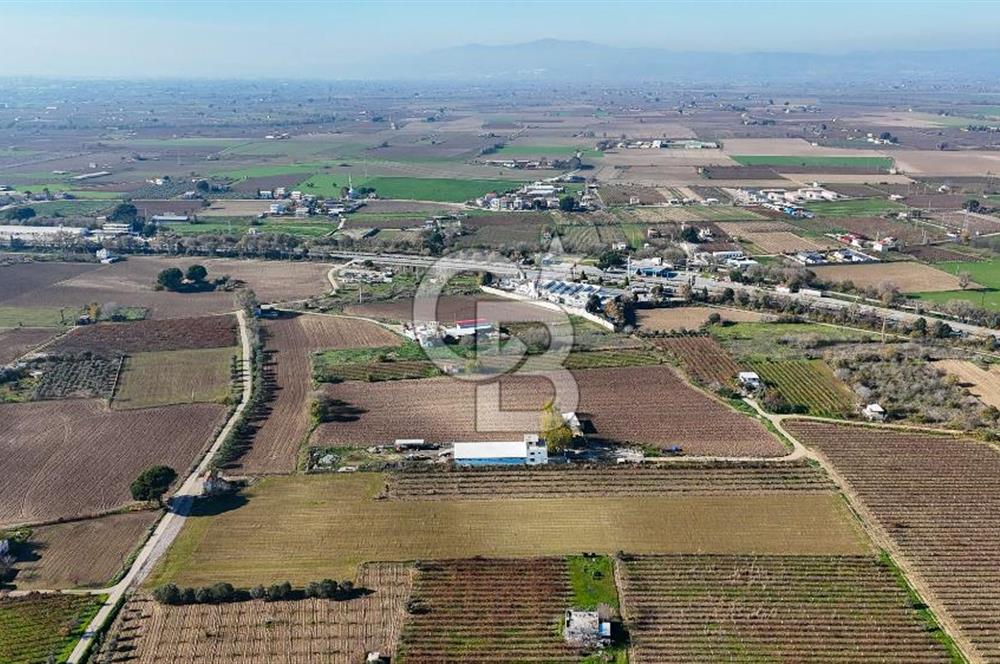 MANİSA ŞEHZADELER VEZİROĞLU SATILIK 8.116 M2 TEK TAPU BAĞ ARAZİSİ