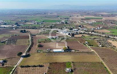 MANİSA ŞEHZADELER VEZİROĞLU SATILIK 8.116 M2 TEK TAPU BAĞ ARAZİSİ