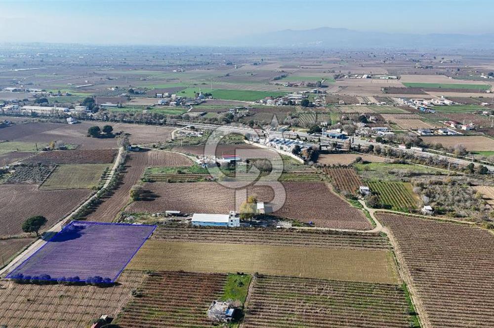 MANİSA ŞEHZADELER VEZİROĞLU SATILIK TEK TAPU BAĞ ARAZİSİ