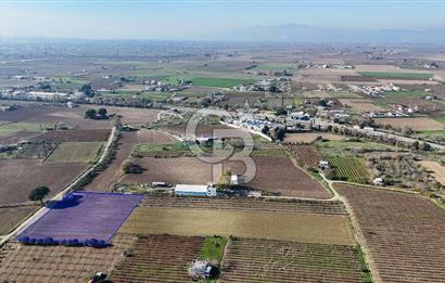 MANİSA ŞEHZADELER VEZİROĞLU SATILIK TEK TAPU BAĞ ARAZİSİ