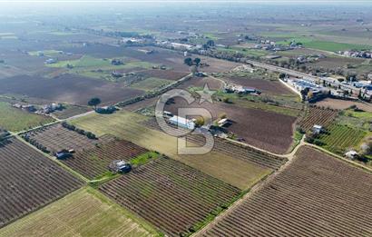 MANİSA ŞEHZADELER VEZİROĞLU SATILIK 8.116 M2 TEK TAPU BAĞ ARAZİSİ