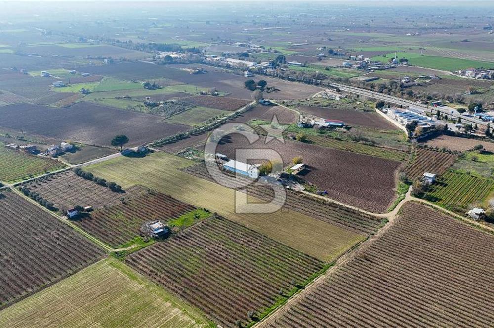 MANİSA ŞEHZADELER VEZİROĞLU SATILIK TEK TAPU BAĞ ARAZİSİ