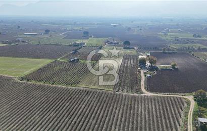 MANİSA ŞEHZADELER VEZİROĞLU SATILIK 8.116 M2 TEK TAPU BAĞ ARAZİSİ