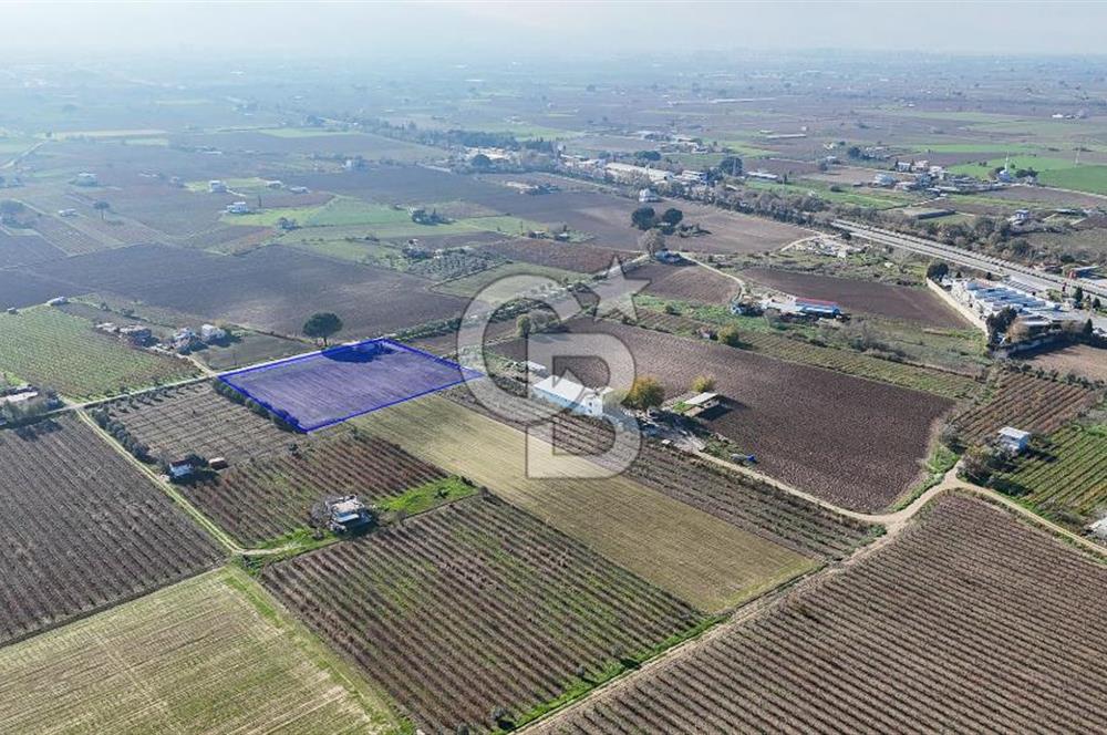 MANİSA ŞEHZADELER VEZİROĞLU SATILIK TEK TAPU BAĞ ARAZİSİ